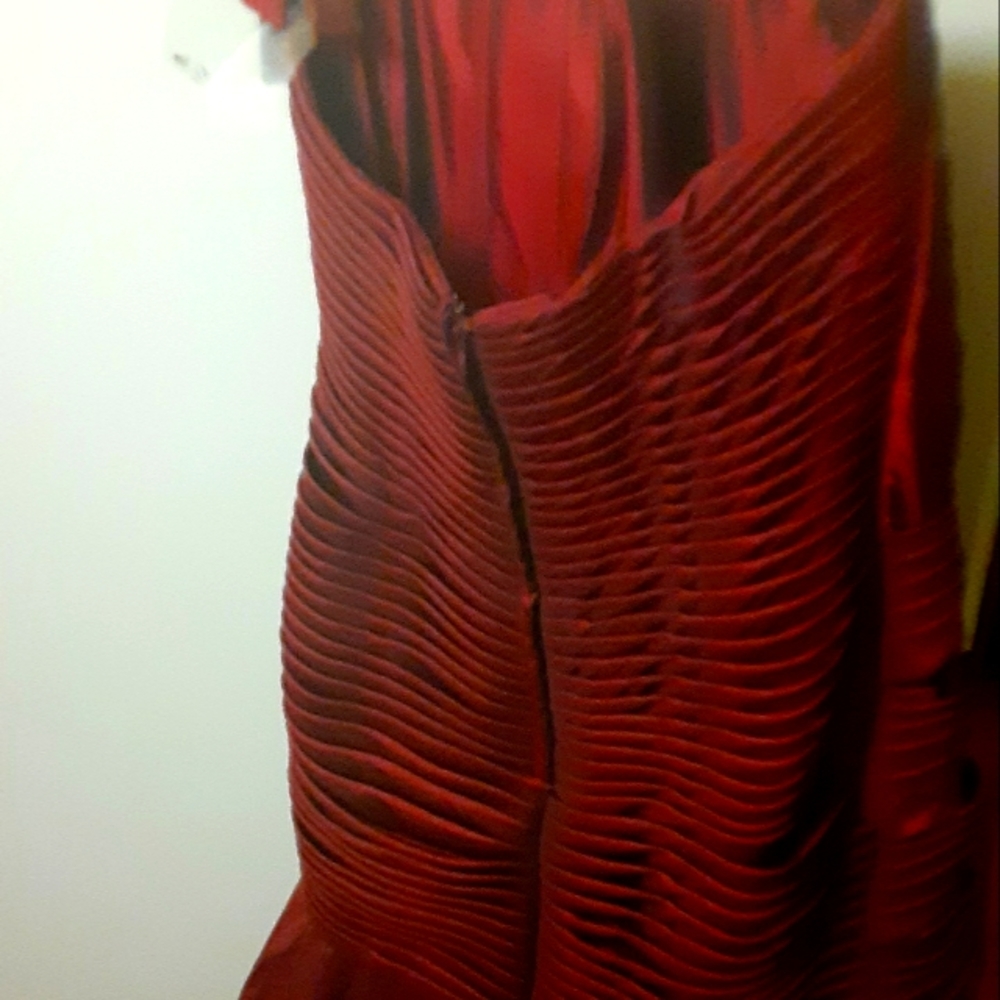 Beautiful Burgundy Ballgown (New)